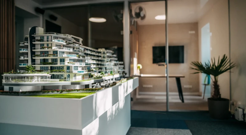 Výroční zpráva společnosti BUYDUBAI za rok 2024