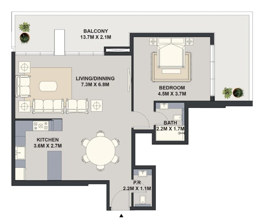 1 BR — 1 Bedroom Unit 101