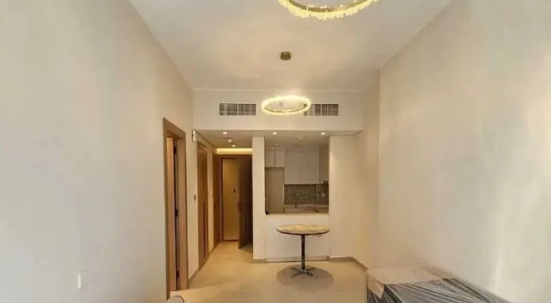 1 BR Apartment