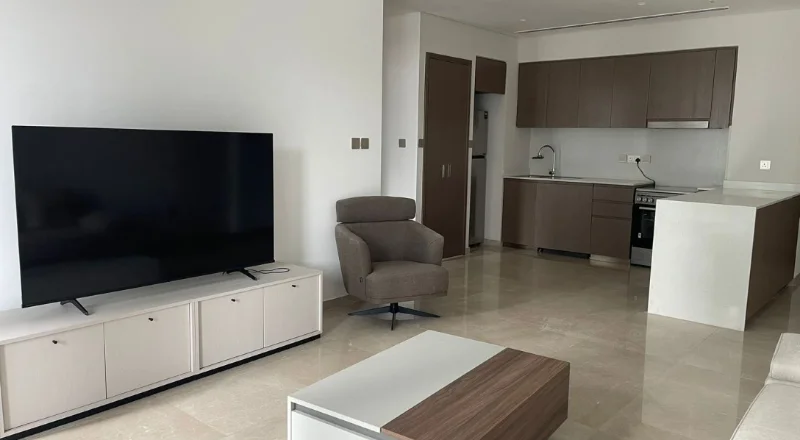 1 BR Apartment