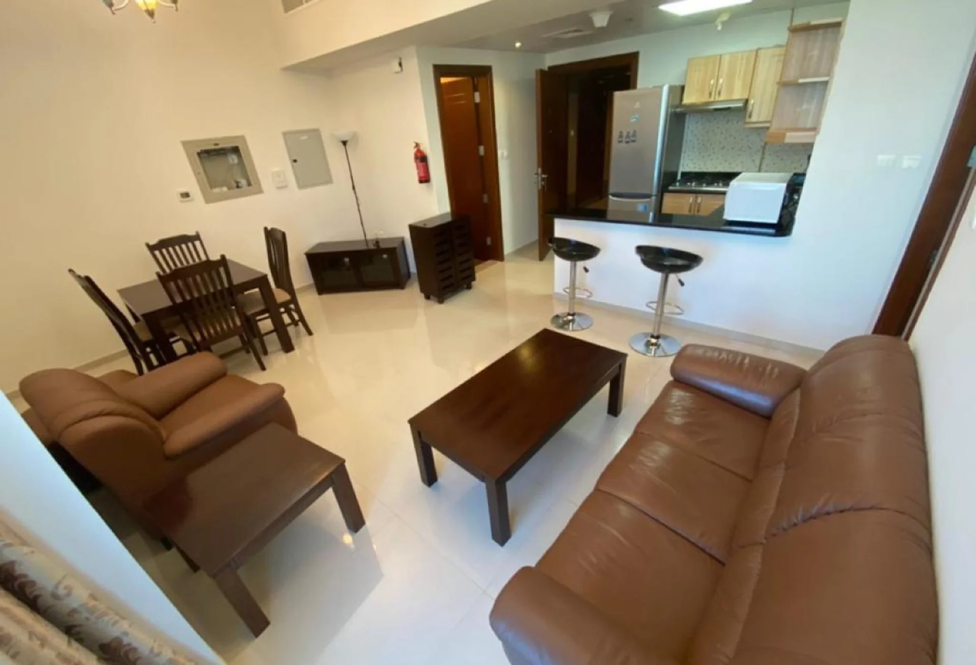 1 BR Apartment