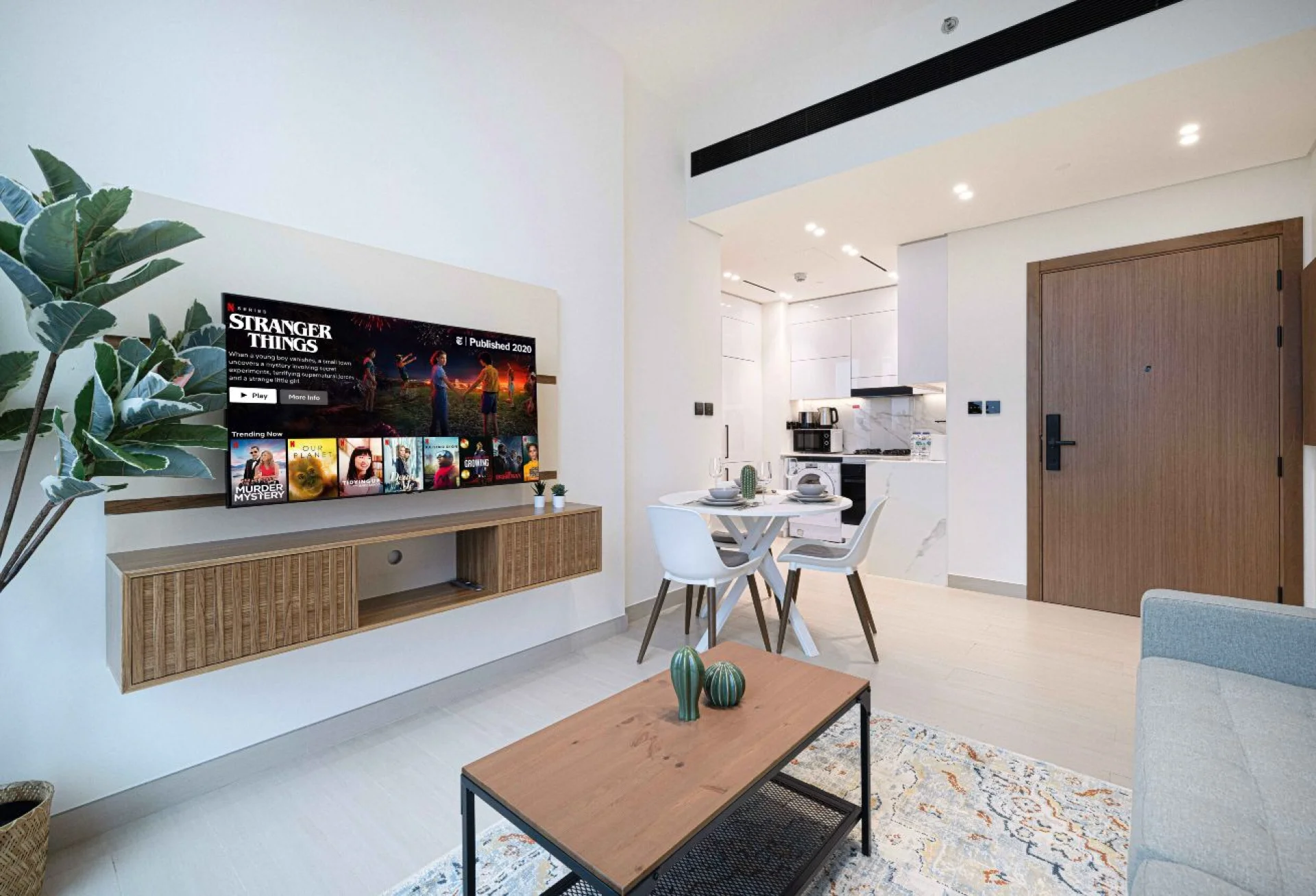 1 BR Apartment